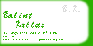 balint kallus business card